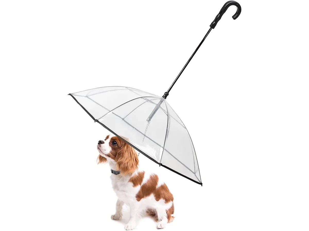 LESYPET Small Dog Umbrella